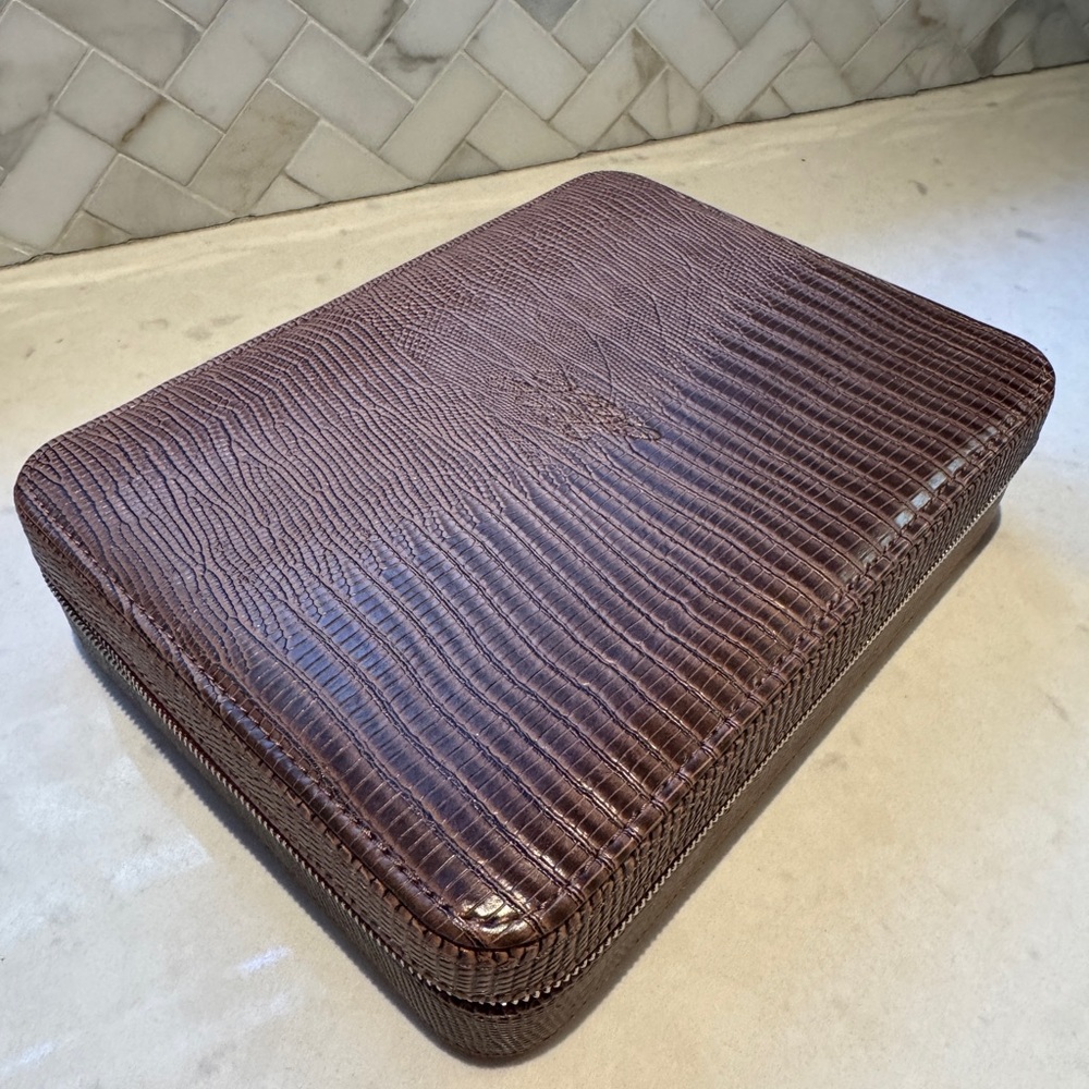 Lexxola Jet Setter travel sunglasses case